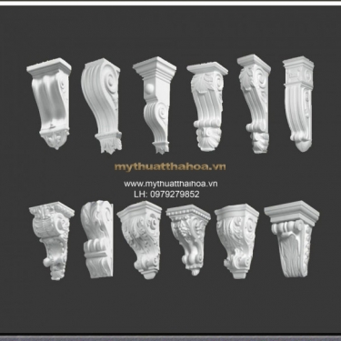 Hoa Văn Con Bọ Đỡ